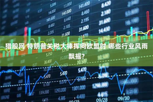 猎股网 特朗普关税大棒挥向欧盟时 哪些行业风雨飘摇?