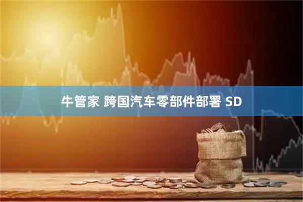 牛管家 跨国汽车零部件部署 SD
