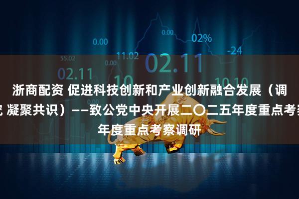 浙商配资 促进科技创新和产业创新融合发展（调查研究 凝聚共识）——致公党中央开展二〇二五年度重点考察调研