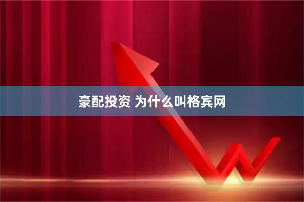 豪配投资 为什么叫格宾网